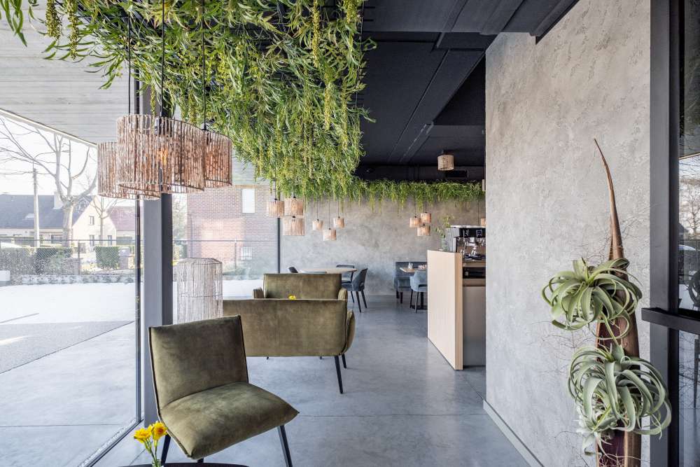 Ardilla Bistro & bar